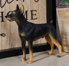 Pet Pal Lifelike Realistic Black Doberman Pinscher Dog Miniature Figurine - £9.61 GBP