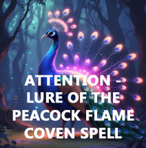 50x-200X FULL COVEN LURE OF THE PEACOCK FLAME ATTENTION HIGH MAGICK CASSIA4 image 2