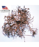 NATURAL DRIFTWOOD #BS008 WYSIWYG - AQUASCAPING, SUPER PRICE!!! BONSAI TR... - €50,64 EUR