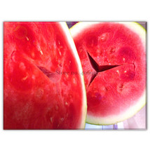 Fresh Yellow Skin Red Seedless Watermelon Fruit Seeds Simple 10 Seeds - $6.22