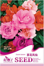 Red Balsam Female Flower Seeds 20 Seeds 20 30Cm Tall Big Double Petals For Flowe - $9.97