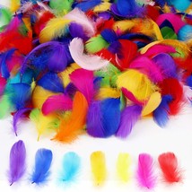 450+ Pcs Colorful Nature Feathers, Art Crafts Decorative Goose Feather F... - £13.58 GBP