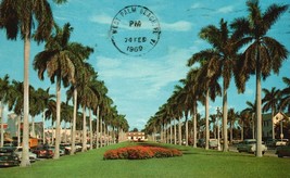 Vintage POSTCARD ROYAL POINCIANA WAY PALM BEACH FLORIDA Stamped 1979 - £1.55 GBP