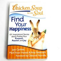 Chicken Soup for the Soul Find Your Happiness 101 Inspirational Stories - $4.94