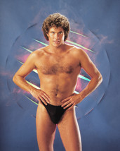 David Hasselhoff Sexy Pin Up barechested black underwear 1980's 16x20 Canvas Gic - $69.99