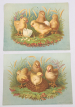 Two (2) 1890&#39;s Victorian EP&amp;L Restein&#39;s Oil Chromo Yellow Baby Chicks Hatchlings - £11.15 GBP