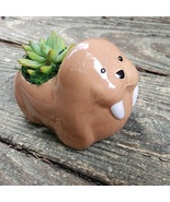 Walrus Planter with Succulent, Live Plant in Ceramic Animal Pot, 5&quot; - £13.58 GBP