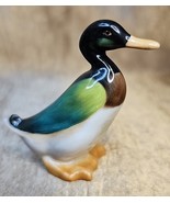 Royal Doulton Animals Mallard Duck Standing HN807 Figurine Brown Green B... - $69.84 CAD