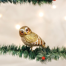 Old World Christmas Pygmy Owl Bird Glass Christmas Ornament 16067 - £14.83 GBP
