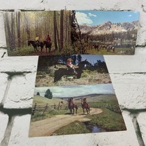 Postcard Lot Of 4 Horseback Riding In Forest Mountains - $11.88