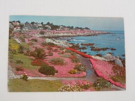 Lover&#39;s Point Pacific Grove, Monterey Peninsula, California CA Postcard - $4.41