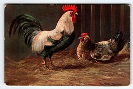 Postcard Rustic Roosters In Barn Signed Muller Germany Barnyard Animals 1907 - £17.50 GBP