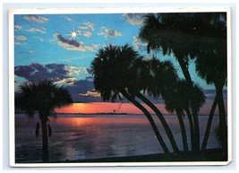 Sunset Moonrise Palm Trees Vibrant Sky Coast FL Landscape Postcard - $5.95