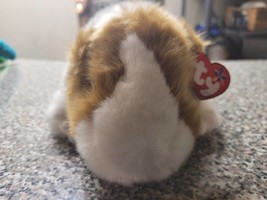 Ty Beanie Buddies Twitch The White And Light Brown Plushy Guinea Pig - $34.99