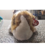 Ty Beanie Buddies Twitch The White And Light Brown Plushy Guinea Pig - £26.29 GBP