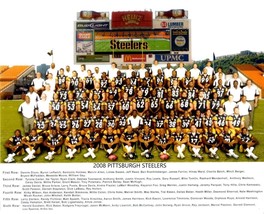 2008 PITTSBURGH STEELERS 8X10 TEAM PHOTO FOOTBALL PICTURE NFL - £3.86 GBP