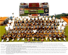 2008 Pittsburgh Steelers 8X10 Team Photo Football Picture Nfl - $4.94