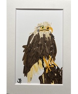 LITTLE EAGLE - £15.98 GBP