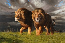 Lions Head Wildlife Jungle Fine Art Ceramic Tile Mural Backsplash Medallion - £47.32 GBP+