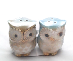 Owl Salt Pepper Shakers Ceramic Teal NEW Thanksgiving Fall Dinner Friends Family - £11.47 GBP