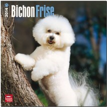 Bichon Frise 2014 18-Month Calendar (Multilingual Edition) [Calendar] - $6.99