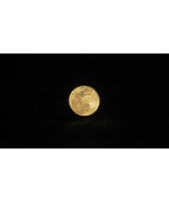 Shroud of Ancient Night - $393.89 CAD
