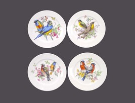 Schumann Arzberg Song Birds salad plates. Multi-motif birds. Made in Germany. - £79.28 GBP