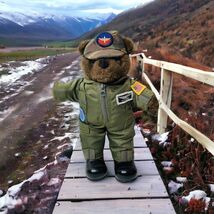 Bear Forces of America US Army Flite Suit 10” Ira Green Inc USA Military... - $15.87