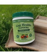Wellology Labs Gut Health Greens + Superfoods Original. 6.35 Oz. Exp: 11... - €20,56 EUR