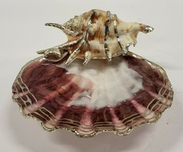 Venus Clam Shell Dish - £103.66 GBP