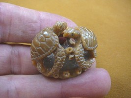 (tb-turt-121) pair of Sea Turtles TAGUA NUT palm figurine Bali carving t... - £32.51 GBP