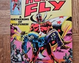 The Human Fly #18 Marvel Comics February 1979 - $3.79