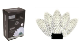 Christmas String Lights C9 Faceted LED 25-ct 25&#39; ft Pure White By Celebr... - €17,78 EUR