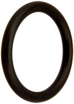 Pentair 51005000 Drain Plug O-Ring Replacement Pool/Spa Filter and Valve - $3.99 CAD