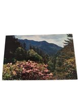 Postcard Scene From The Transmountain Highway US 441 Rhododendron in Bloom - $6.81 CAD