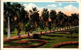 Postcard - An Avenue Of Palms - Florida Postmarked 1918 (C12) - £5.08 GBP