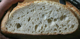 Sourdough Starter Yeast "Sally" From San Francisco 155 Yr Old Lots Of Recipes - $9.00