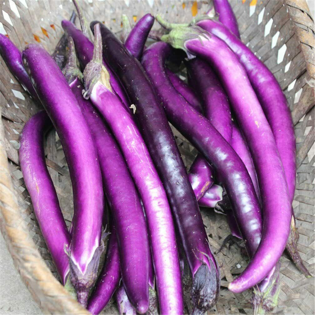 Eggplant Seeds Asian Chinese Long Purple or White Better tasty, Soft  & Tender - $2.25 - $12.00