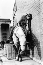 Lee Marvin Drunk On Horse Cat Ballou Classic 18x24 Poster - £19.15 GBP