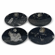 732g, 4pcs, 4.7&quot;x3.8&quot; Small Black Fossils Ammonite Orthoceras Bowl Oval Ring,B88 - £47.18 GBP