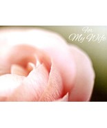Mother&#39;s Day Wife - Mother&#39;s Day - Tree Free Greeting Card - 17548 - $25.61 MXN