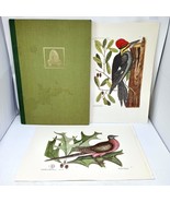 *READ* Catesby Natural History Carolina Florida Bahamas 1974 w/ Two Bird... - $149.95