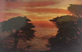 Sunset on the Pacific with Cypress Trees, California Coast Vintage Postcard - £7.39 GBP