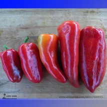 Lipstick Long Red Sweet Pepper Organic Seeds 50 Seeds Garden - $6.22