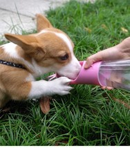 Portable Pet Water Bottle - The Ultimate Travel Companion For Your Furry Friend - £22.33 GBP