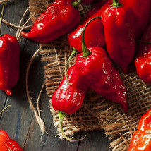 AD Red Ghost Bhut Jolokia Pepper Seeds Home Garden - $252.42 MXN