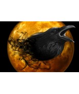 PSYCHIC RAVEN POWER SPELL! POWER OF ODIN! NORSE MAGICK! DIVINATION! ALL-... - $39.99