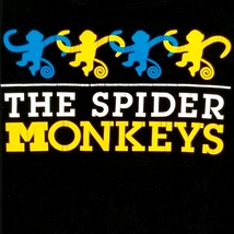 T-shirt Medium Women's The Spider Monkeys Black Tshirt image 2