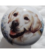 FOUR Cabinet Knobs W/ Labrador Retriever White Yellow DOG - $29.16 CAD
