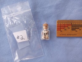 Dollhouse Miniature Mini glass jar filled with baby Sea Shells Shadow Box - $110.22 MXN